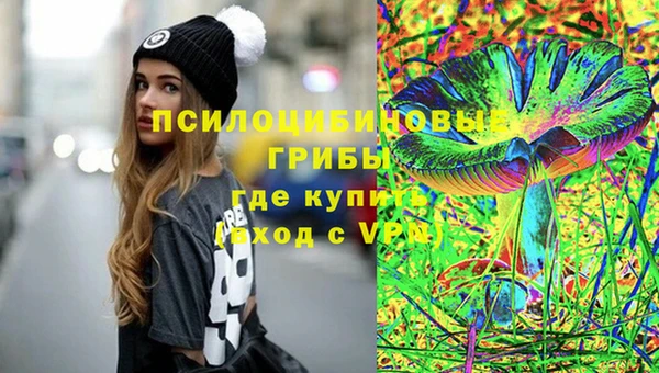 2c-b Липки