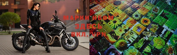 прущая мука Каменногорск