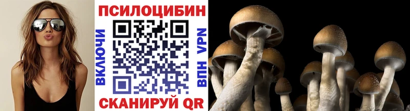 Псилоцибиновые грибы мицелий  Нижние Серги 